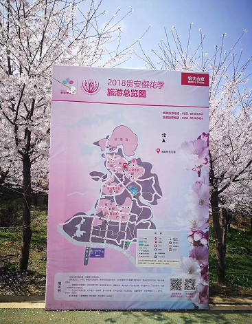 贵安平坝樱花开园